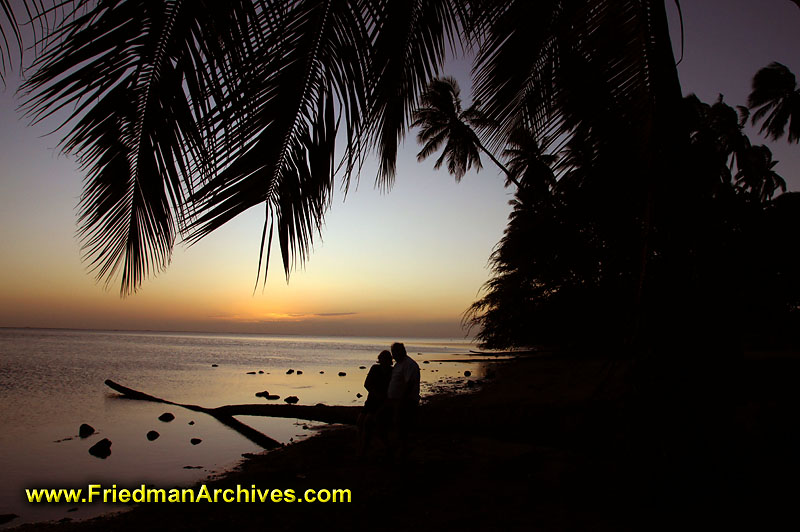 sunset on beach with palm trees. silhouette,sunset,dusk,dawn