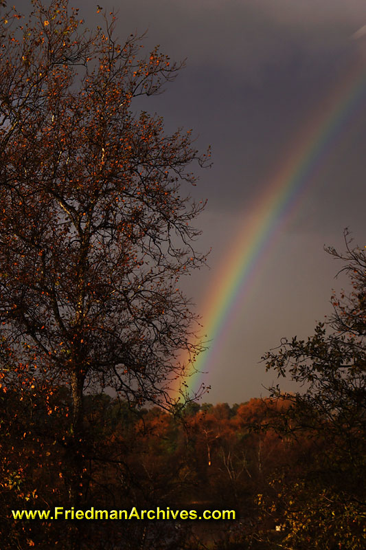 beauty,nature,rain,rainbow,black,sky,colors,storm,sun,refraction,