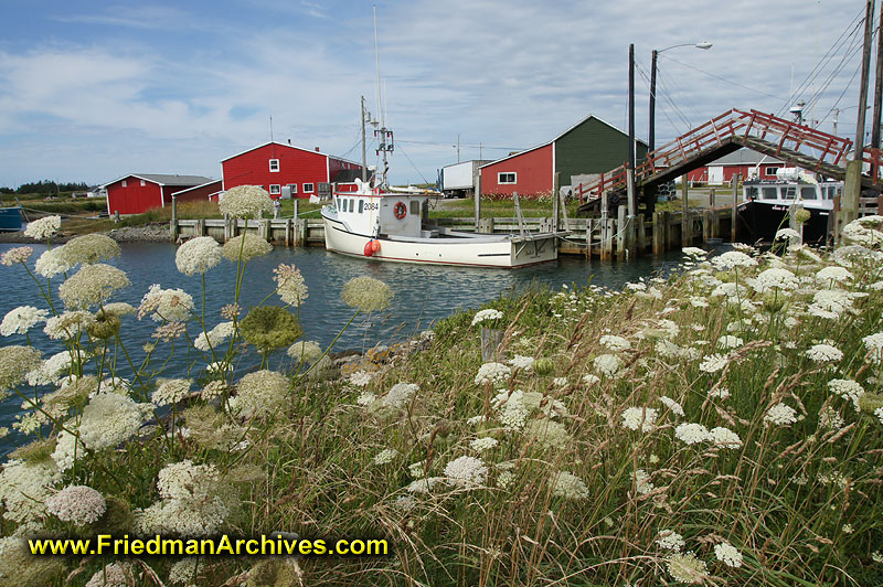 scenic, postcard,yarmouth,flowers,water,red,buildings,