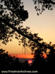 Share Sunset