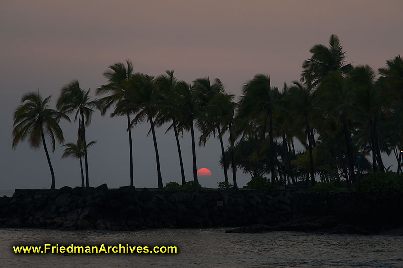 sunrise,sunset,palm,trees,tropical,hawaii,