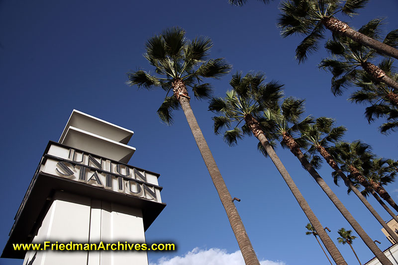 icon,establishing,parking,sign,palms,trees,palm trees,Los Angeles,L.A., LA,