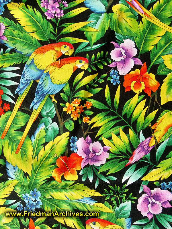 Parrot Tropical Pattern