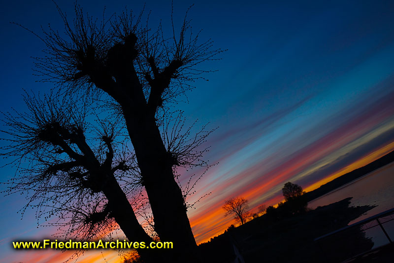 blue,pink,sky,sunset,tree,silhouette,sweden,landscape,