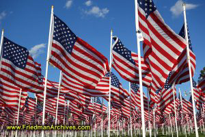 200 American Flags