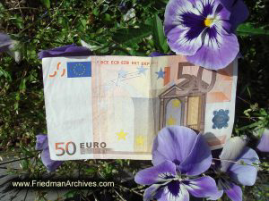50 Euro Note and Flowers