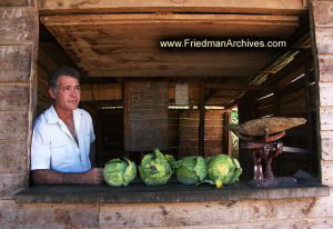 Cabbage Vendor