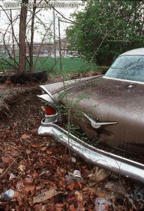 Cadillac and Leaves