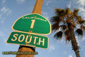 California 1 South PCH and Palm Tree