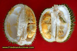 Durian!