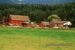 Farmhouse on Grassland