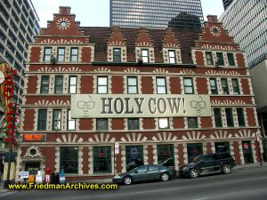 Holy Cow - Harry Caray building
