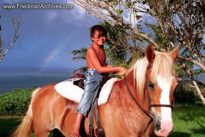 Horse and Rainbow