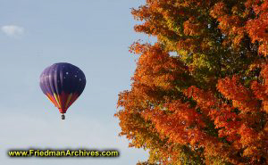 Hot Air Baloon and Red Leaves