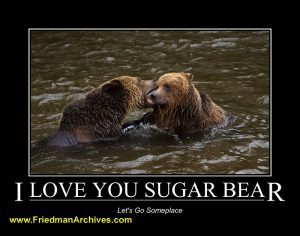 I Love You Sugar Bear