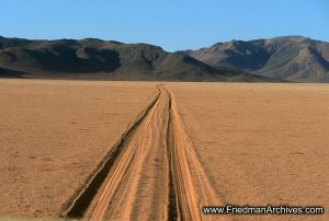 Namibia Gallery of Images Tracks in Sand