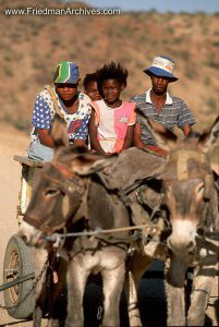 Namibia Images Family on Mule Cart