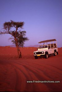 Namibia Images Jeep and Tree