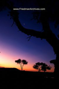 Vertical Namibian Sunset