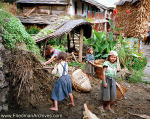 Nepal Images - Farmworker Girls