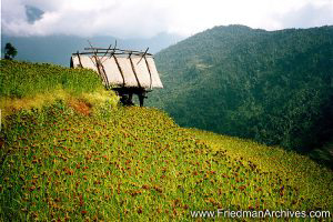 Nepal Images - Hut on Hill