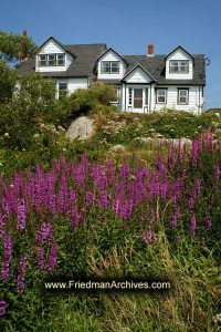 House and Purple Flowers