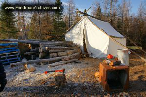 Tent and Chopped Wood
