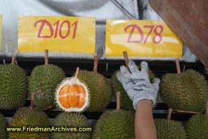 Selecting a Durian
