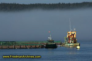 Ship Dock and Fog
