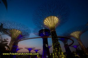 Singapore / Marina Bay Sands Gardens