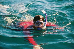 Snorkeler in Water