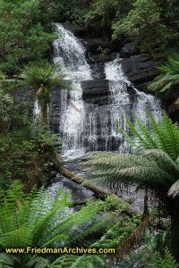 Waterfalls of Beech Forest Trail