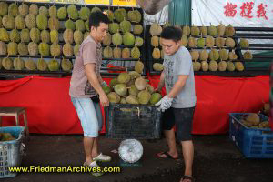 Workers moving crate of Durian
