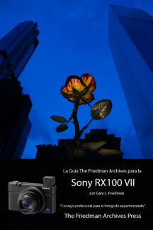 SP-RX100 VII cover 72 dpi